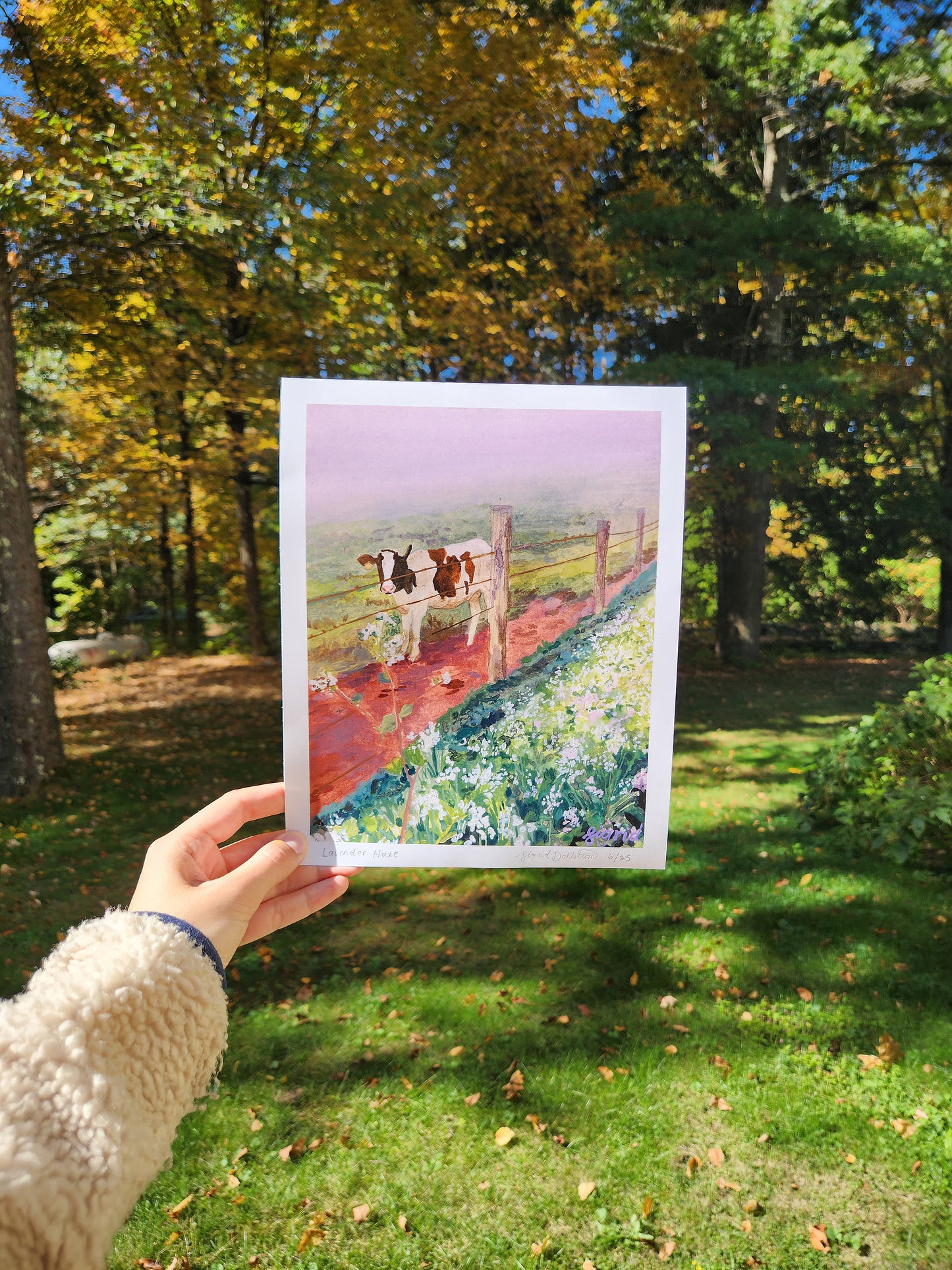 lavender haze cow watercolor print