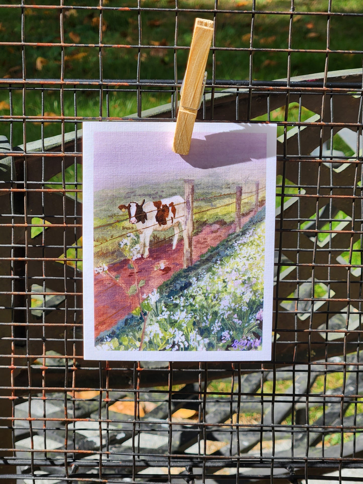 lavender haze cow 4 x 5" card