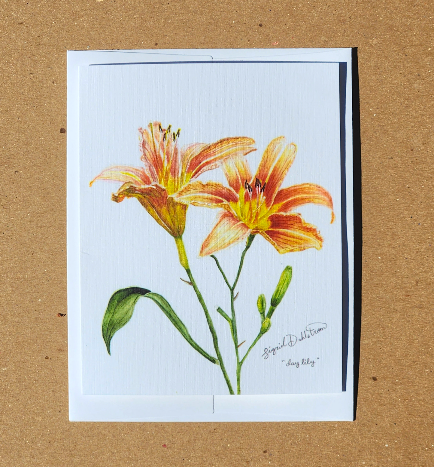 4 x 5" daylily card