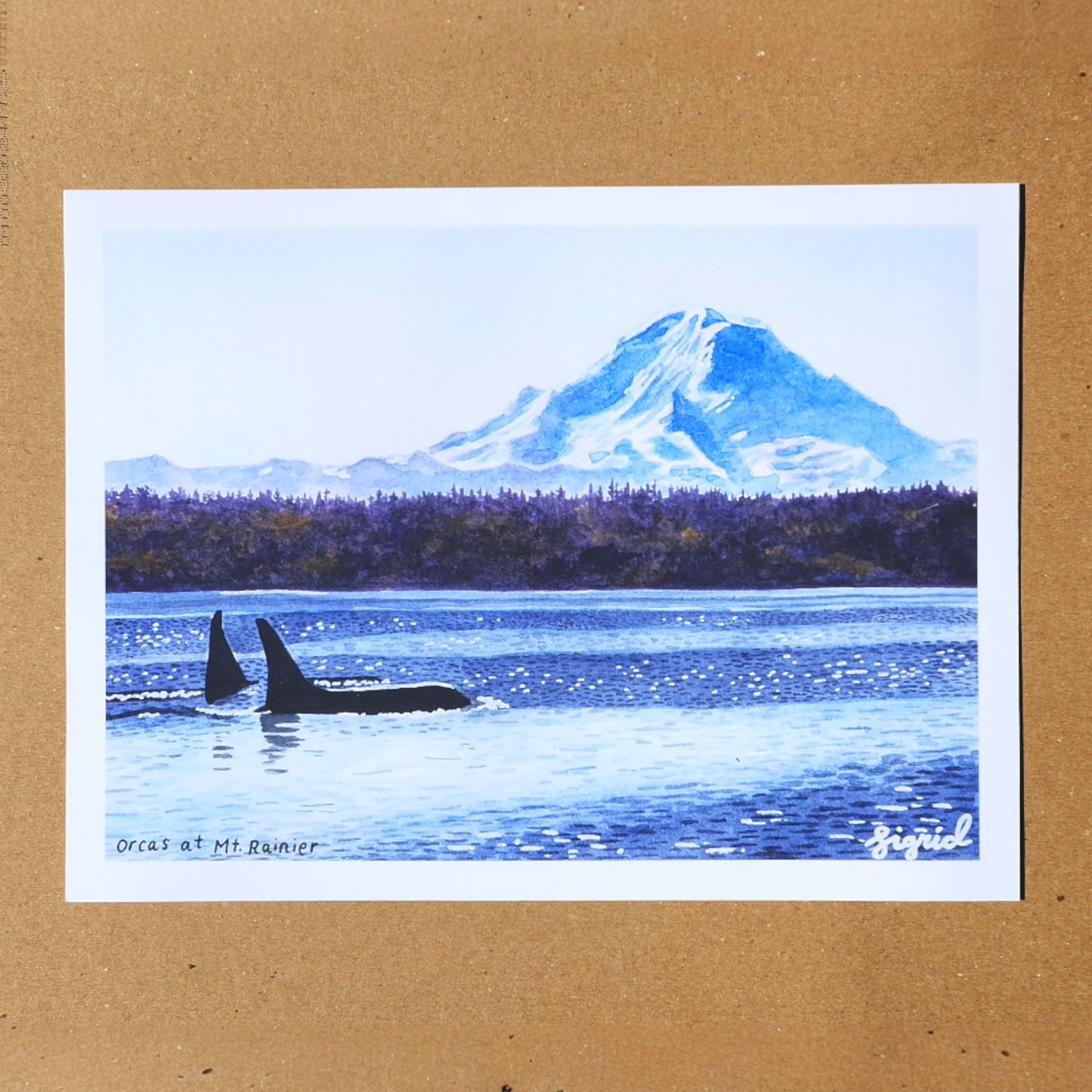 orcas at mt. rainier watercolor print