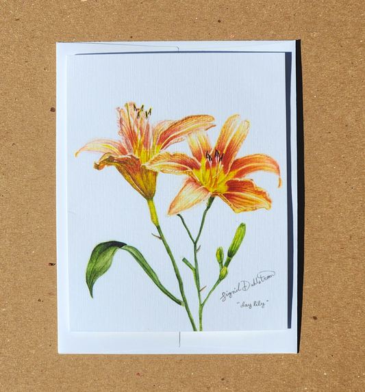 4 x 5" daylily card