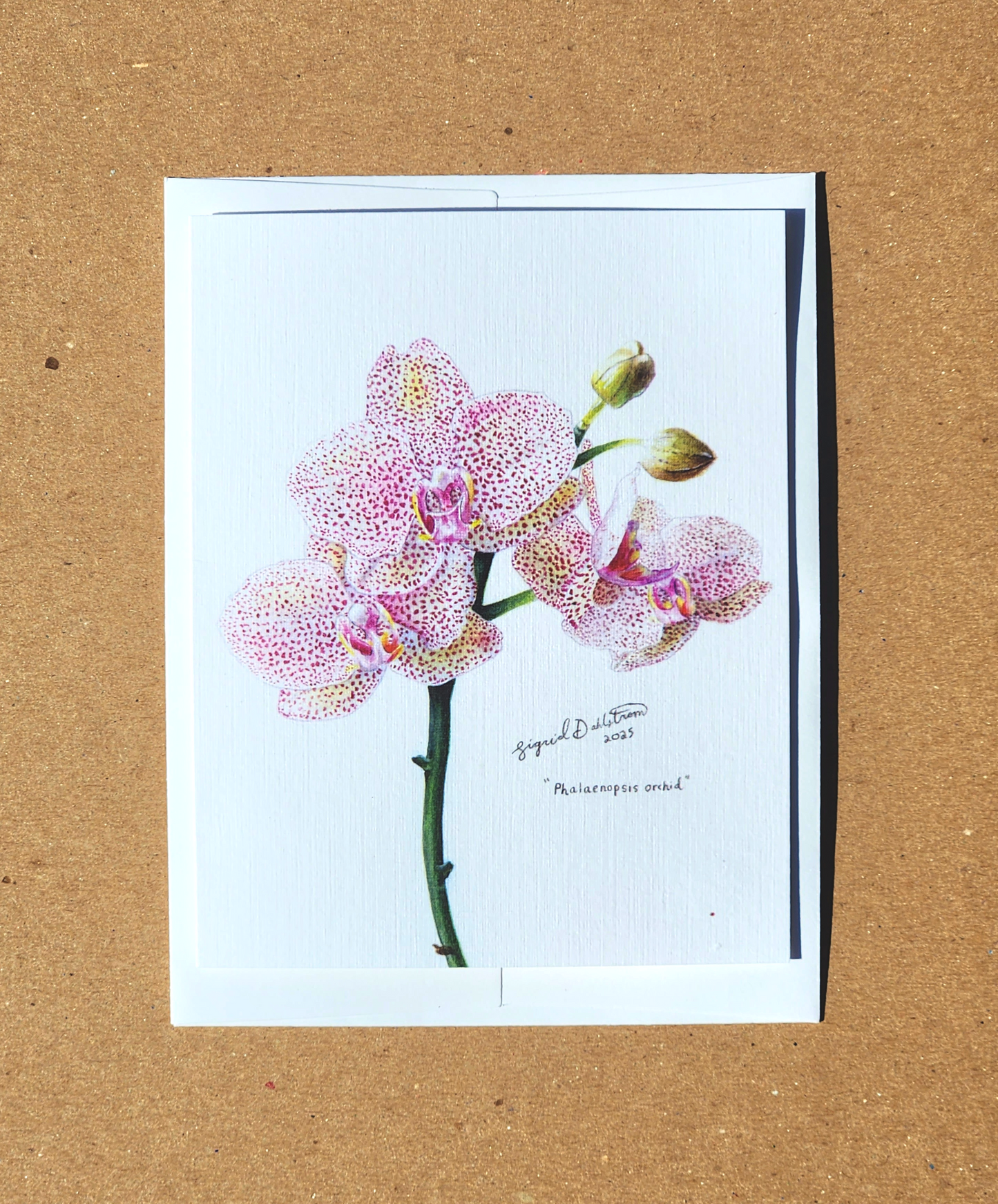 4 x 5" orchid card