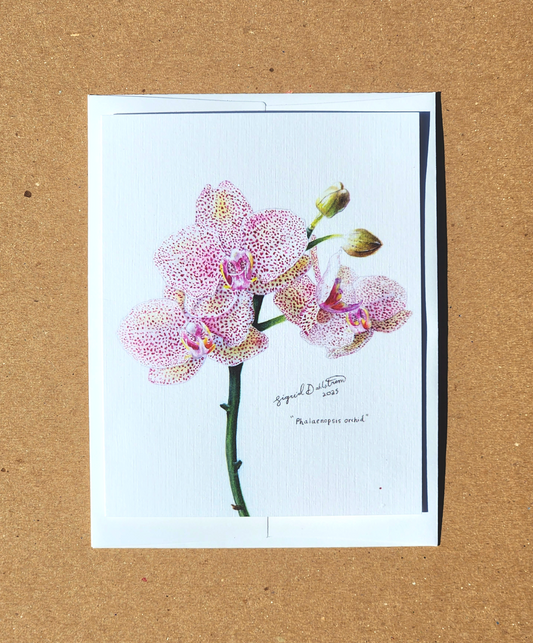 4 x 5" orchid card