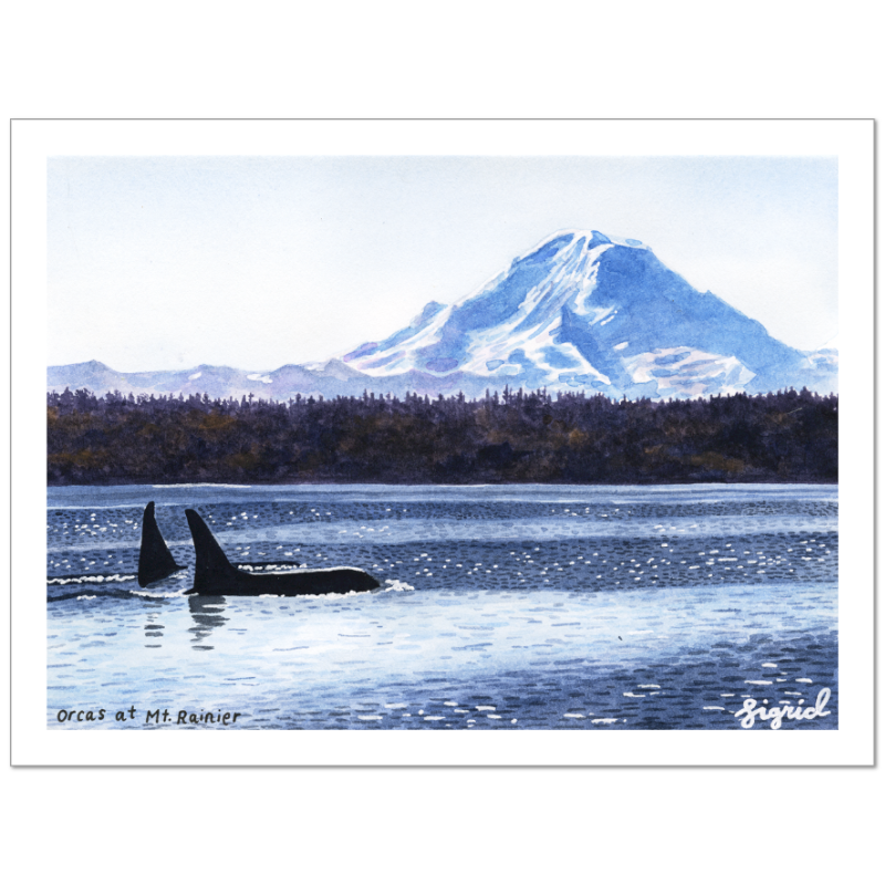 orcas at mt. rainier watercolor print
