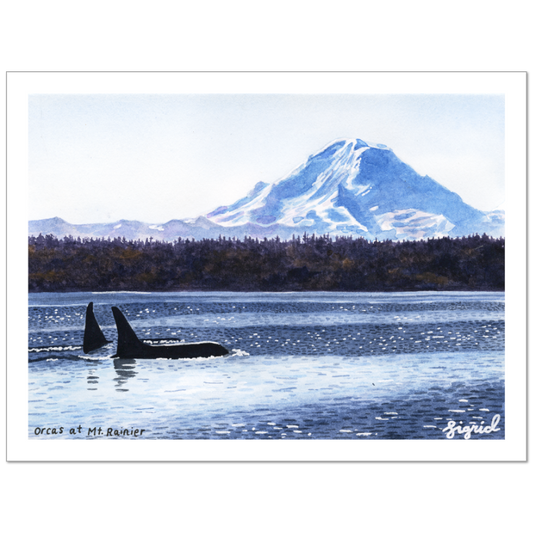 orcas at mt. rainier watercolor print