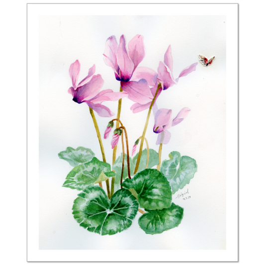 cyclamen watercolor print